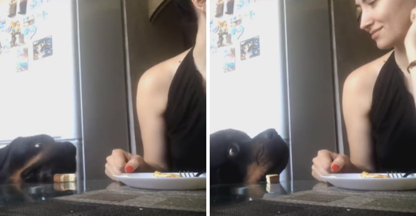 VIDEO Pas se trudio ukrasti ručak svojoj vlasnici i nije htio da ona to primijeti