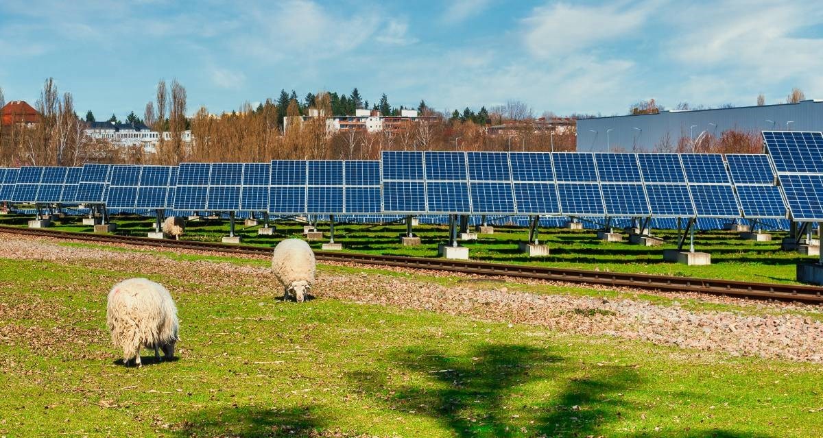 Žito i E.ON dogovorili izgradnju solarne elektrane