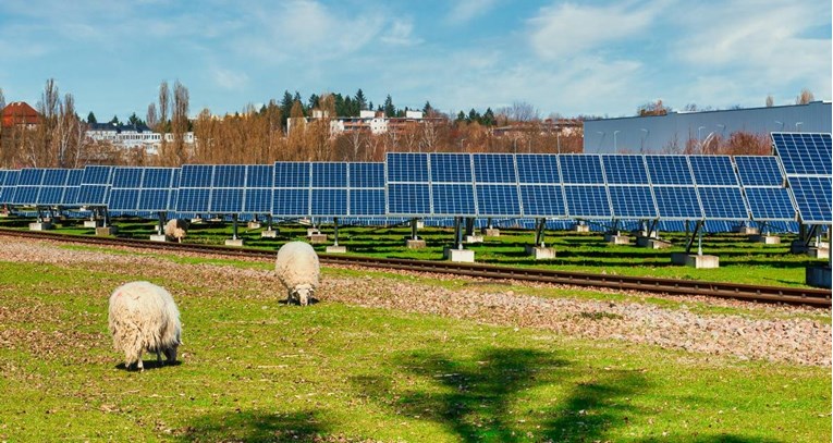 Žito i E.ON dogovorili izgradnju solarne elektrane