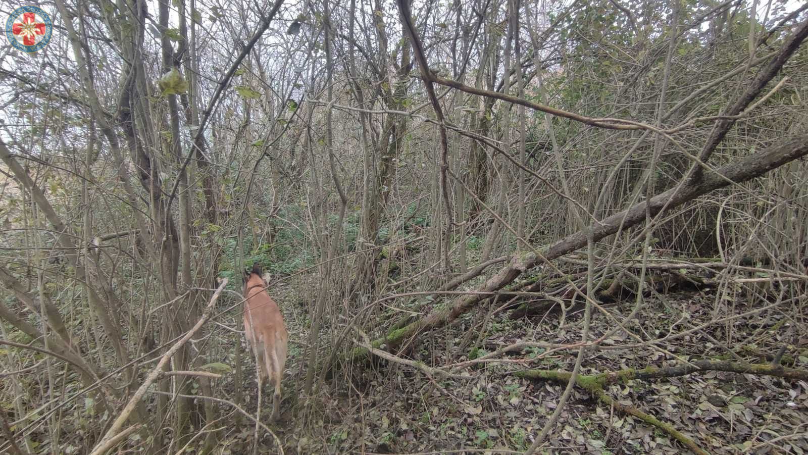 Nađena žena koja je jučer nestala u Međimurju, prevezena je u bolnicu