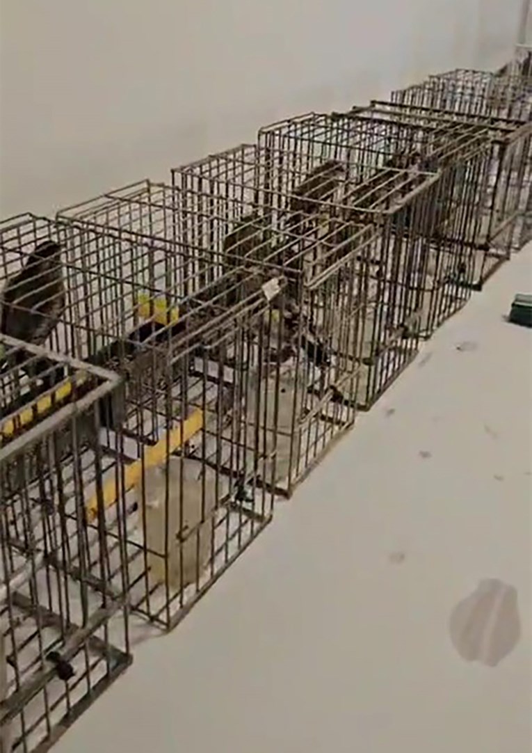 Policija kod Makarske uhitila krivolovca s češljugarima