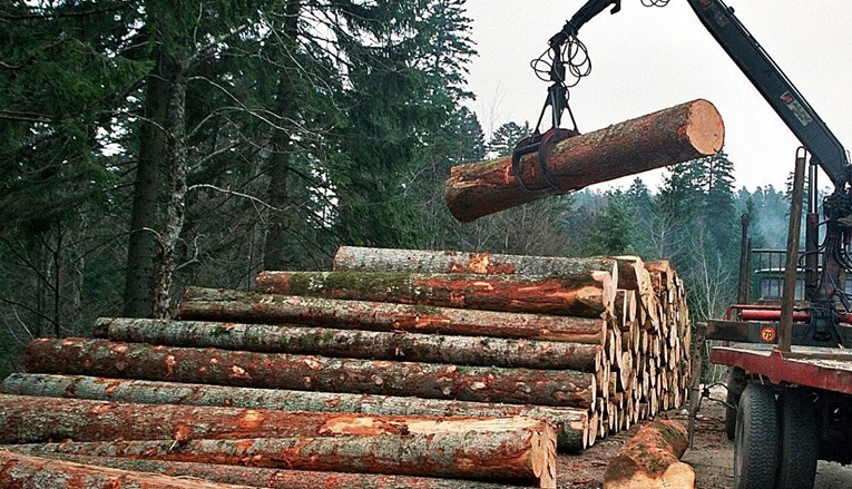 Hrvatske šume: Oni koji imaju štetu zbog više sile mogu nam platiti na rate