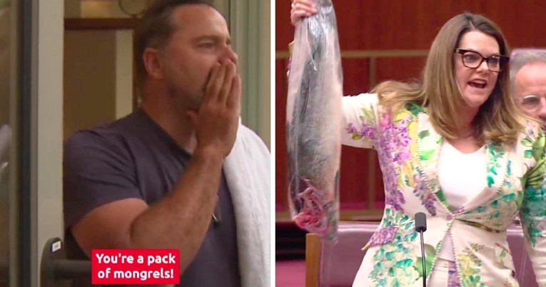 VIDEO Australski senator vikao na premijera, političarka donijela mrtvu ribu u senat