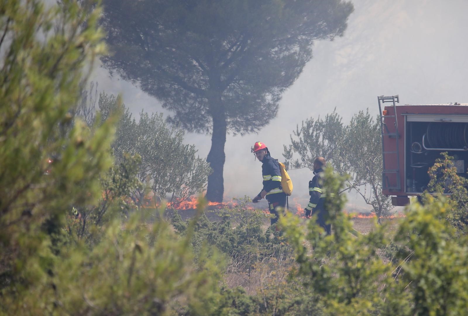 Uglednoj vinarskoj obitelji Bibić izgorjeli vinogradi i maslinici: "Sve je izgorjelo"