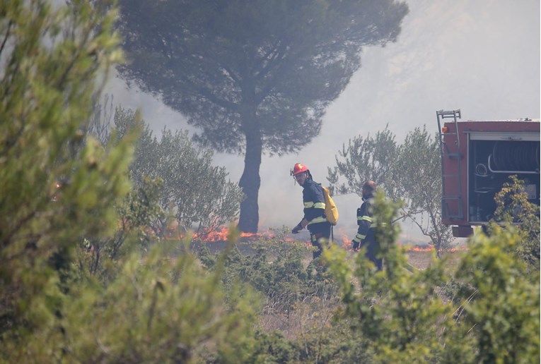 Uglednoj vinarskoj obitelji Bibić izgorjeli vinogradi i maslinici: "Sve je izgorjelo"