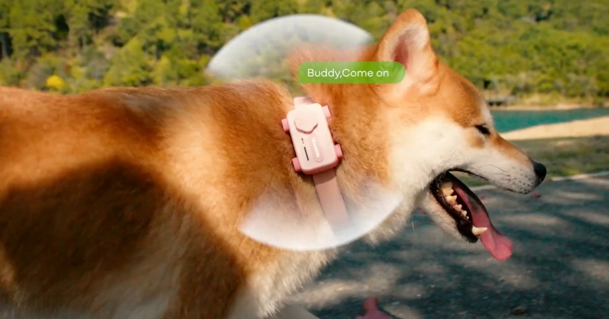 Predstavljen prvi pametni telefon za kućne ljubimce