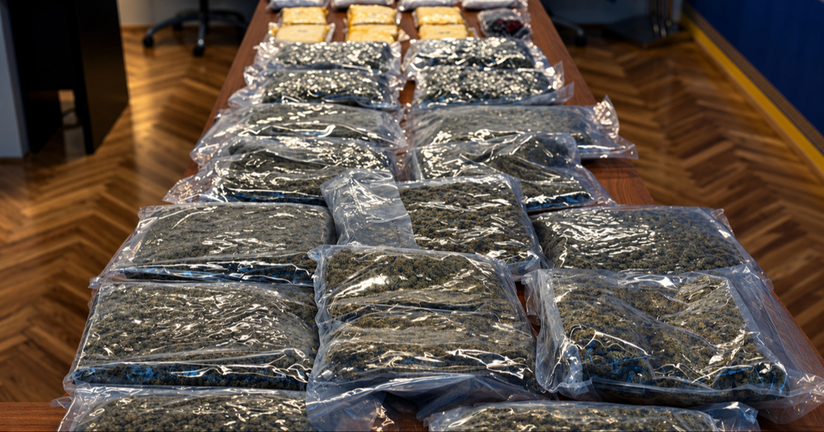 VIDEO Policija u Dalmaciji zaplijenila više od 38 kilograma droge. Pronašli i oružje