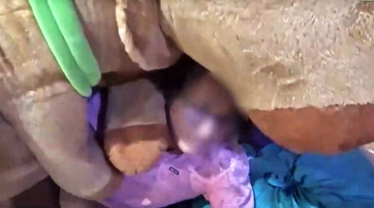 VIDEO Policija u Peruu upala u kuću dileru, uhitila ga maskota životinje