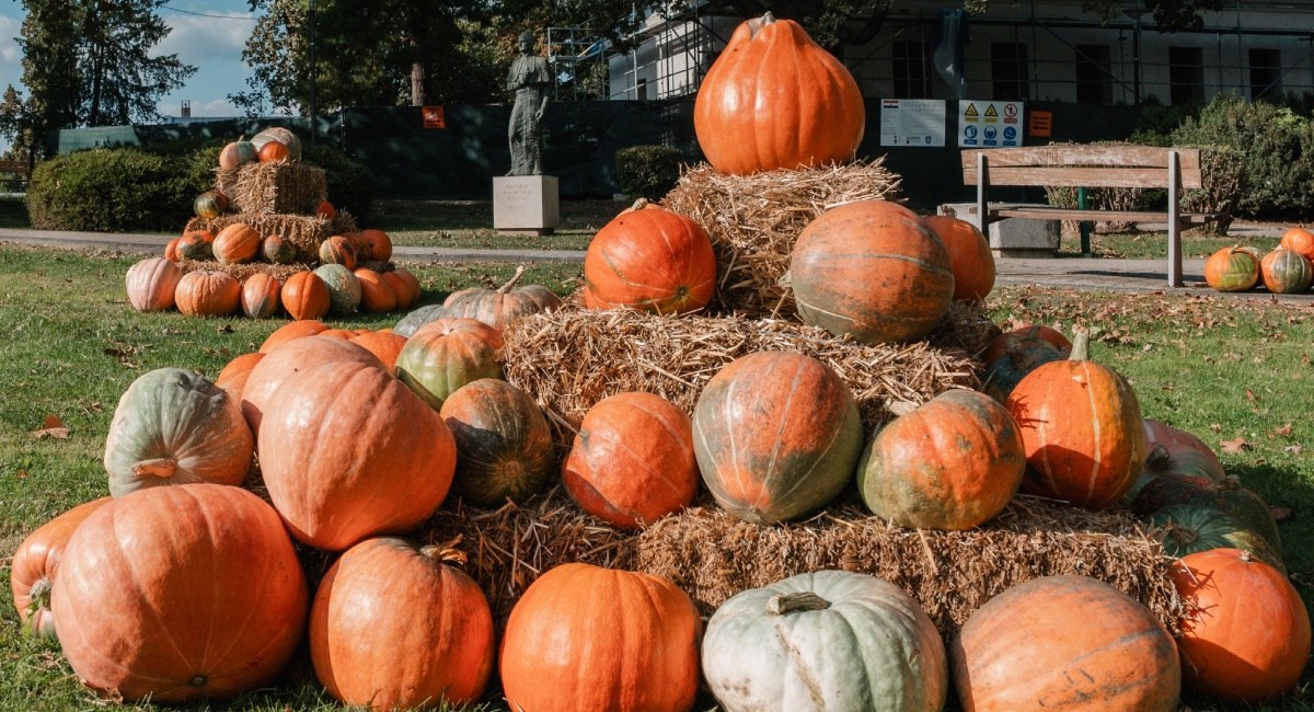 Ne znate kamo ovaj vikend? Počeo je najpoznatiji jesenski festival u Hrvatskoj