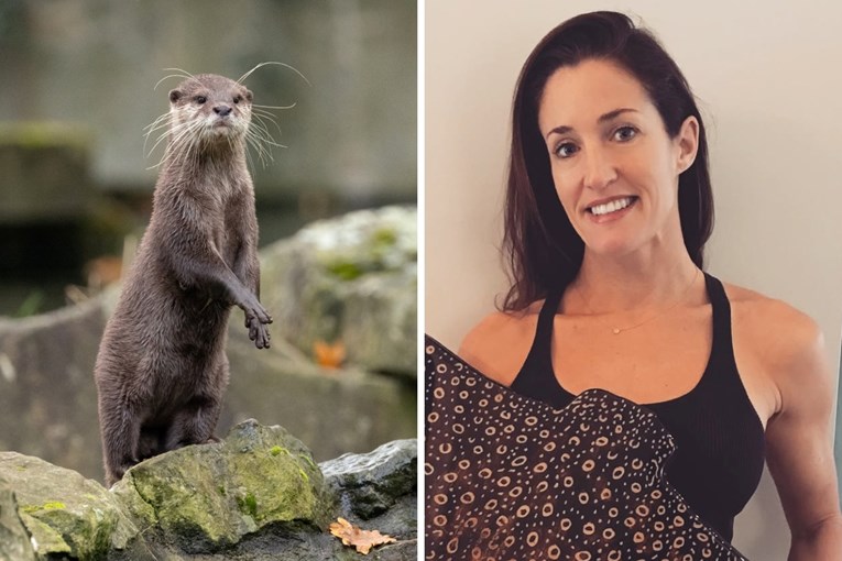 Vidra napala ženu u Sjevernoj Karolini dok je gledala maraton