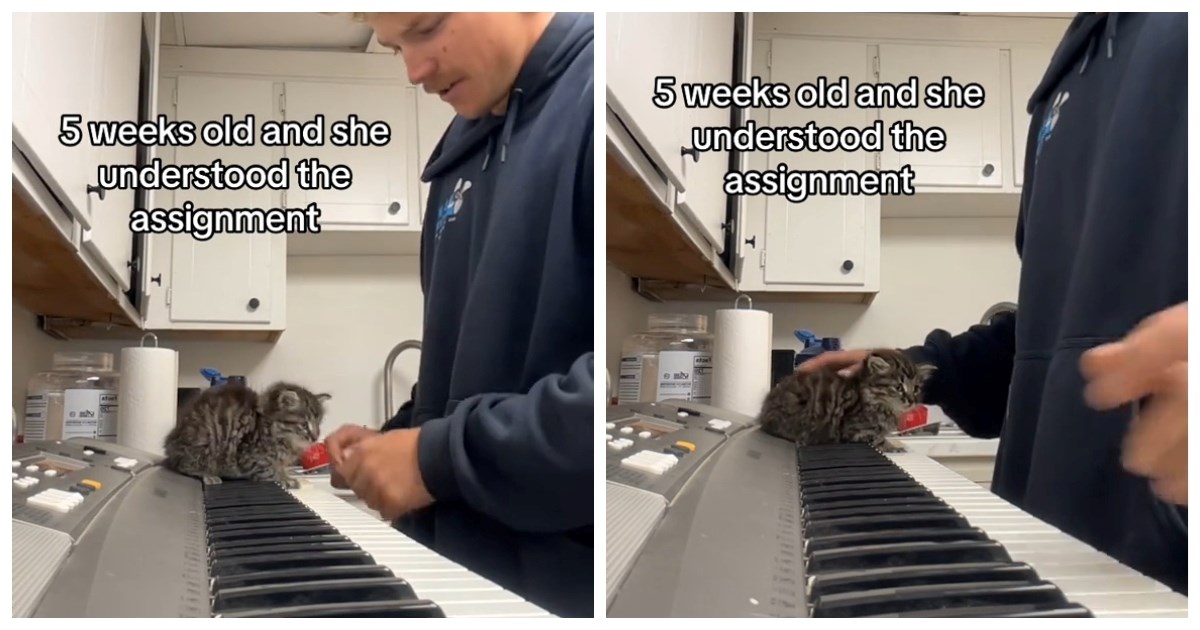 Gledatelji pišu da je ovo najslađi video koji su pogledali ovaj tjedan