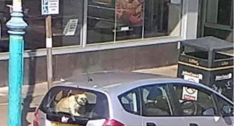 Vlasnik ostavio psa u prtljažniku automobila na najtopliji dan u godini