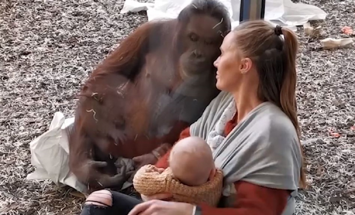 Krenula dojiti bebu u bečkom ZOO-u, nije očekivala ono što se dogodilo