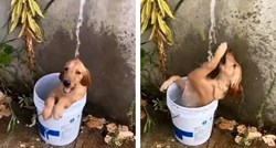 Pas oduševio načinom na koji se kupa. Sjedi u kanti dok po njemu teče voda