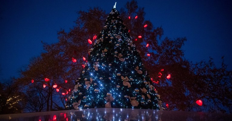 Simbol optimizma i zajedništva: U Beču postavljeno božićno drvce