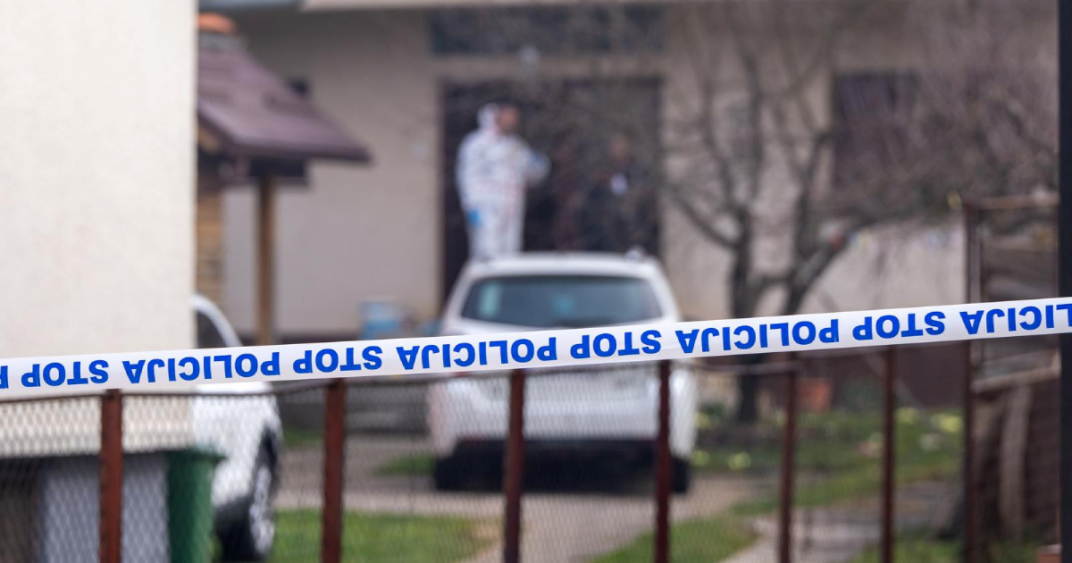 U Gospiću nasmrt zatukao majku i baku, uhićen je
