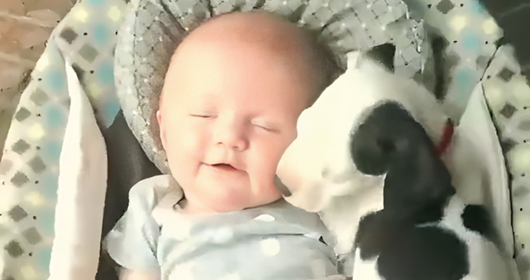 Snimka bebe i šteneta osvaja internet, preslatki su