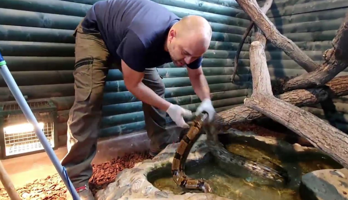 Raspjevani djelatnici ZOO-a Zagreb otpjevali Lupi petama i razveselili sve oko sebe