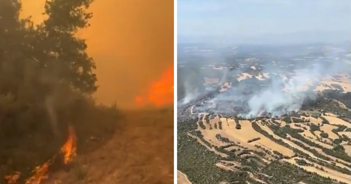 VIDEO Veliki šumski požar u Španjolskoj: Evakuirane kuće, vatra se širi