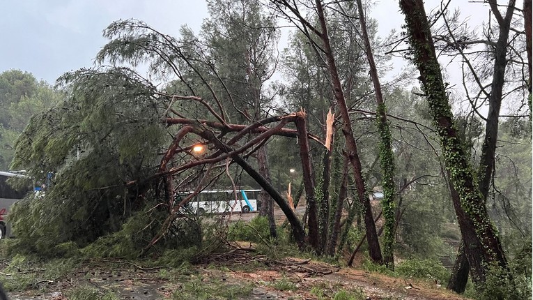 FOTO I VIDEO Pogledajte štetu od nevremena na Rabu i Malom Lošinju