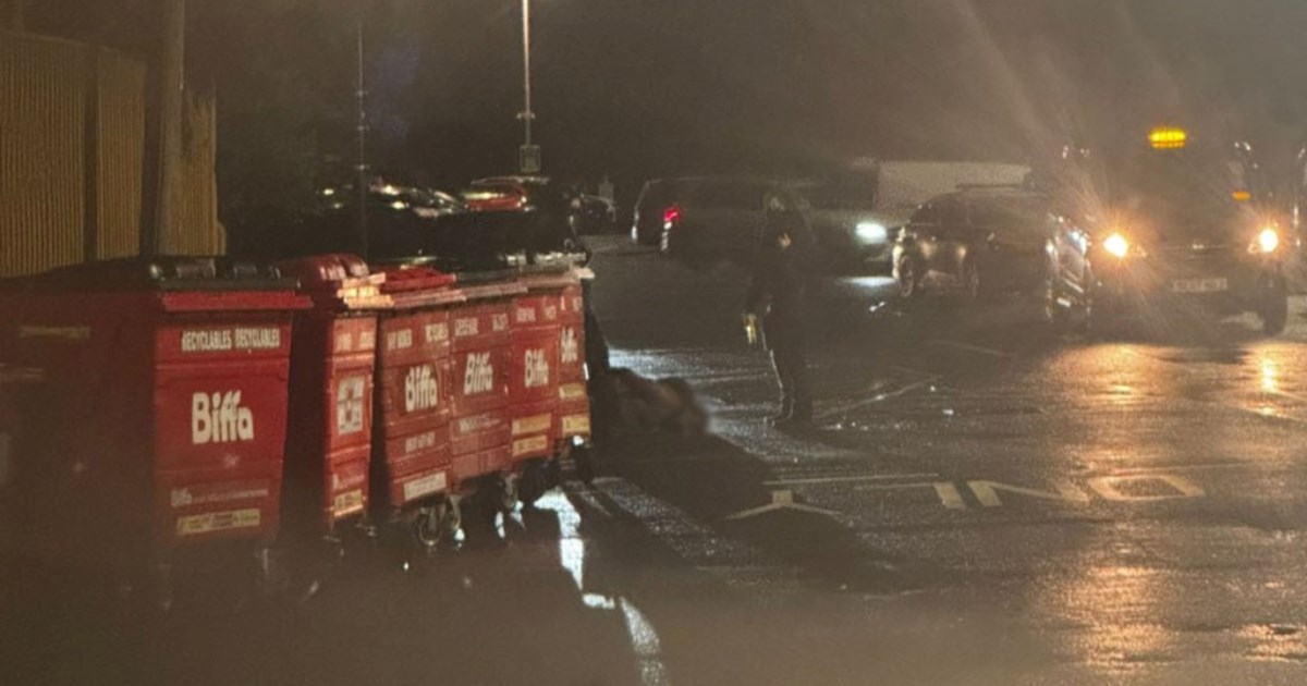 Napad u vlaku u Engleskoj, objavljeni novi detalji: "Napadač je vikao da ga ubiju"