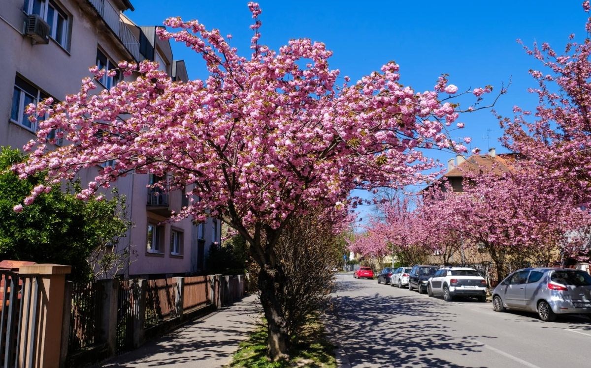 FOTO Predivni prizori iz ove zagrebačke ulice mnogima će teško pasti u karanteni