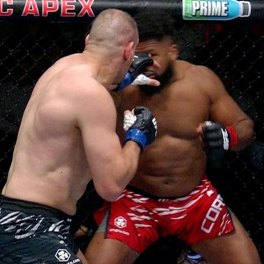 Suci su oštetili Deliju, borba nije smjela biti nastavljena. Evo što kažu pravila