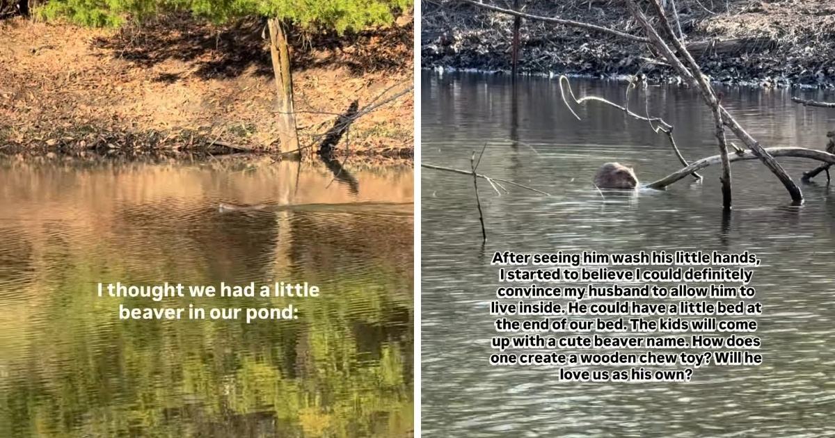 VIDEO Mislila je da u ribnjaku ima dabra, no uslijedio je šok