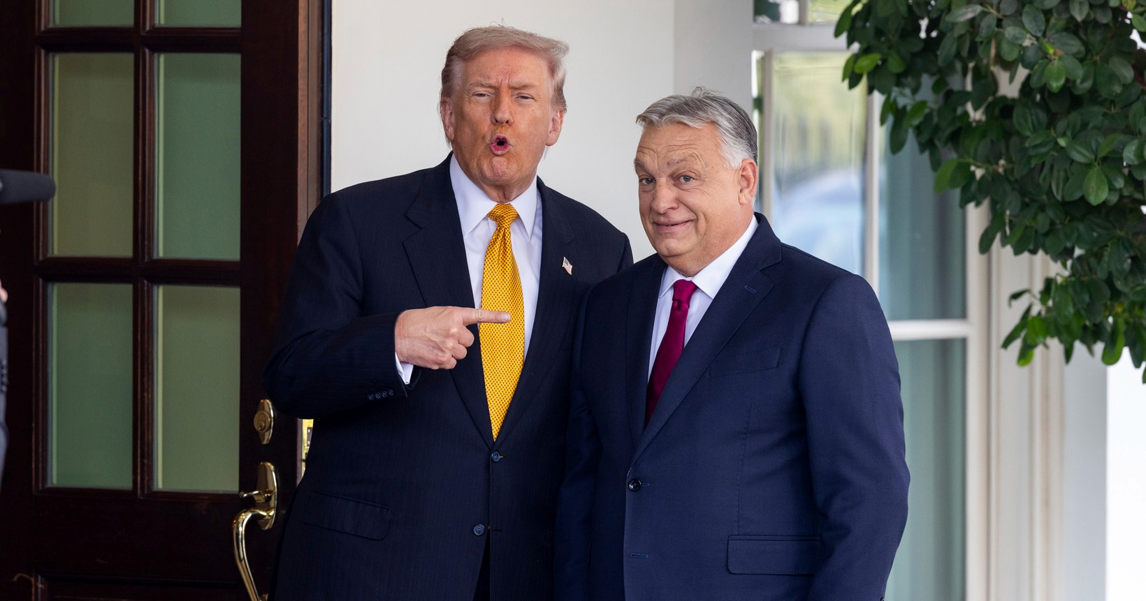 SAD će u Europi financirati skupine bliske MAGA pokretu