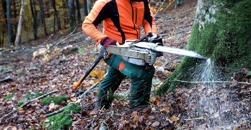 60-godišnjak ilegalno posjekao šumu u Slavoniji, vlasnicu oštetio za 20.000 eura