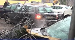 VIDEO Kaos zbog ledene kiše u Subotici. Polomljena stabla, uništeni deseci auta...