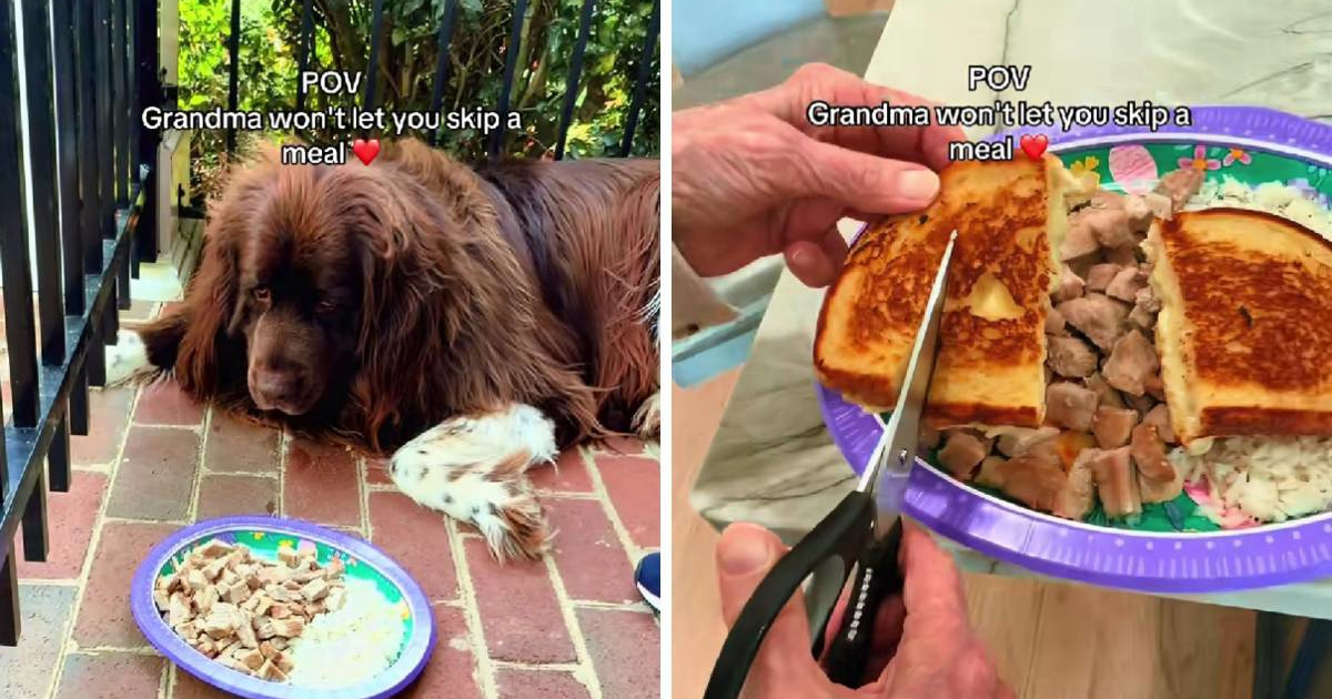 Pas ne želi jesti sve dok mu baka ne doda "tajni sastojak", preslatki su 🥹