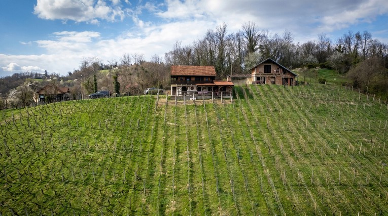 Na zagorskom bregu za vikend se okupljaju ljubitelji domaće hrane i vina