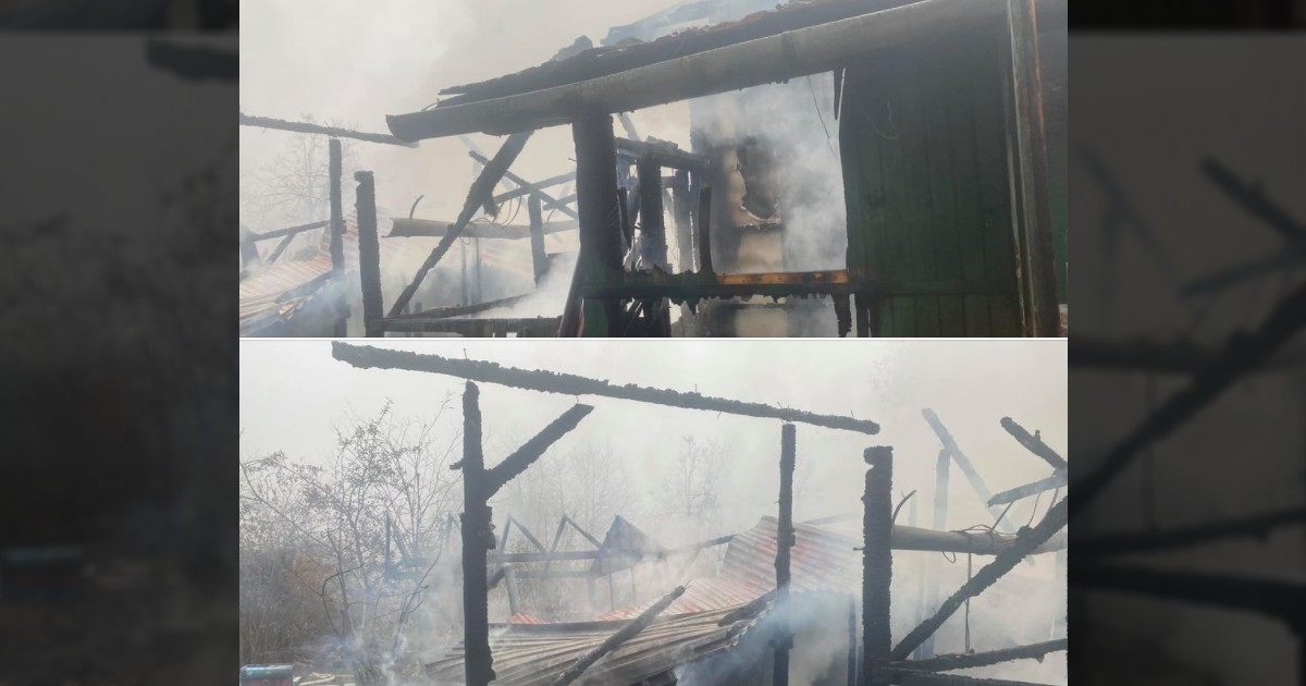 Užas u varaždinskoj udruzi za životinje, u požaru stradalo više mačaka