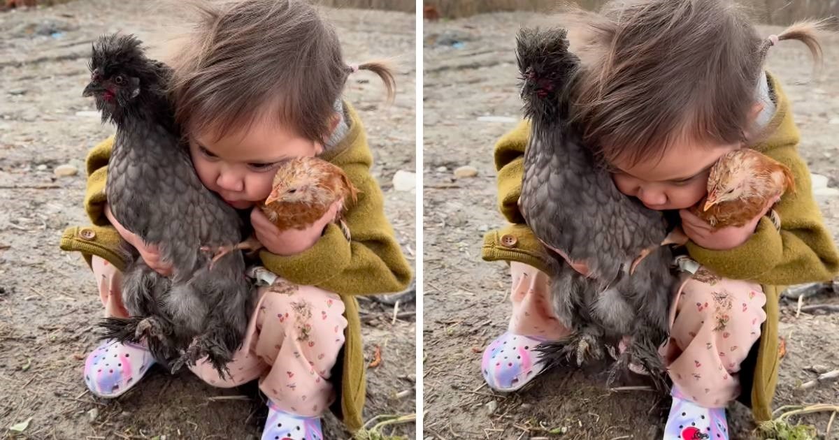 Preslatka djevojčica koja obožava kokoši i pjeva im izmamit će vam osmijeh na lice