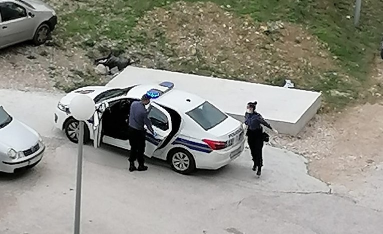 U Splitu se na ulici posvađali muškarac i žena, na teren izašle policija i hitna