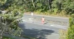 Muškarac zaustavio promet kako bi pomogao koali prijeći cestu