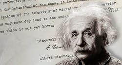 Izgubljeno Einsteinovo pismo: Predvidio da životinje imaju super osjetila
