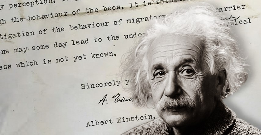 Izgubljeno Einsteinovo pismo: Predvidio da životinje imaju super osjetila