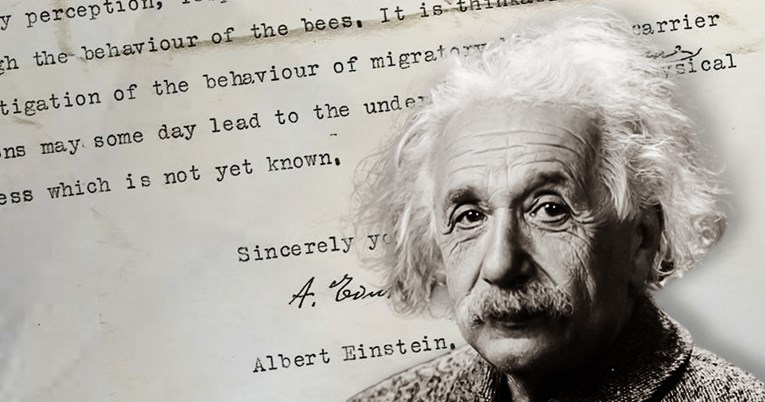 Einstein u izgubljenom pismo predvidio da životinje imaju super osjetila