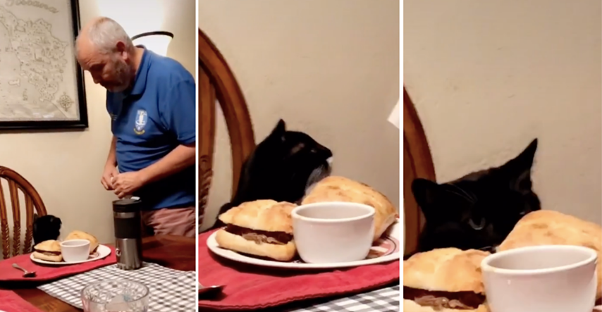 Mačak svakog dana večera za stolom sa svojim vlasnikom i uživa u urnebesnom tretmanu