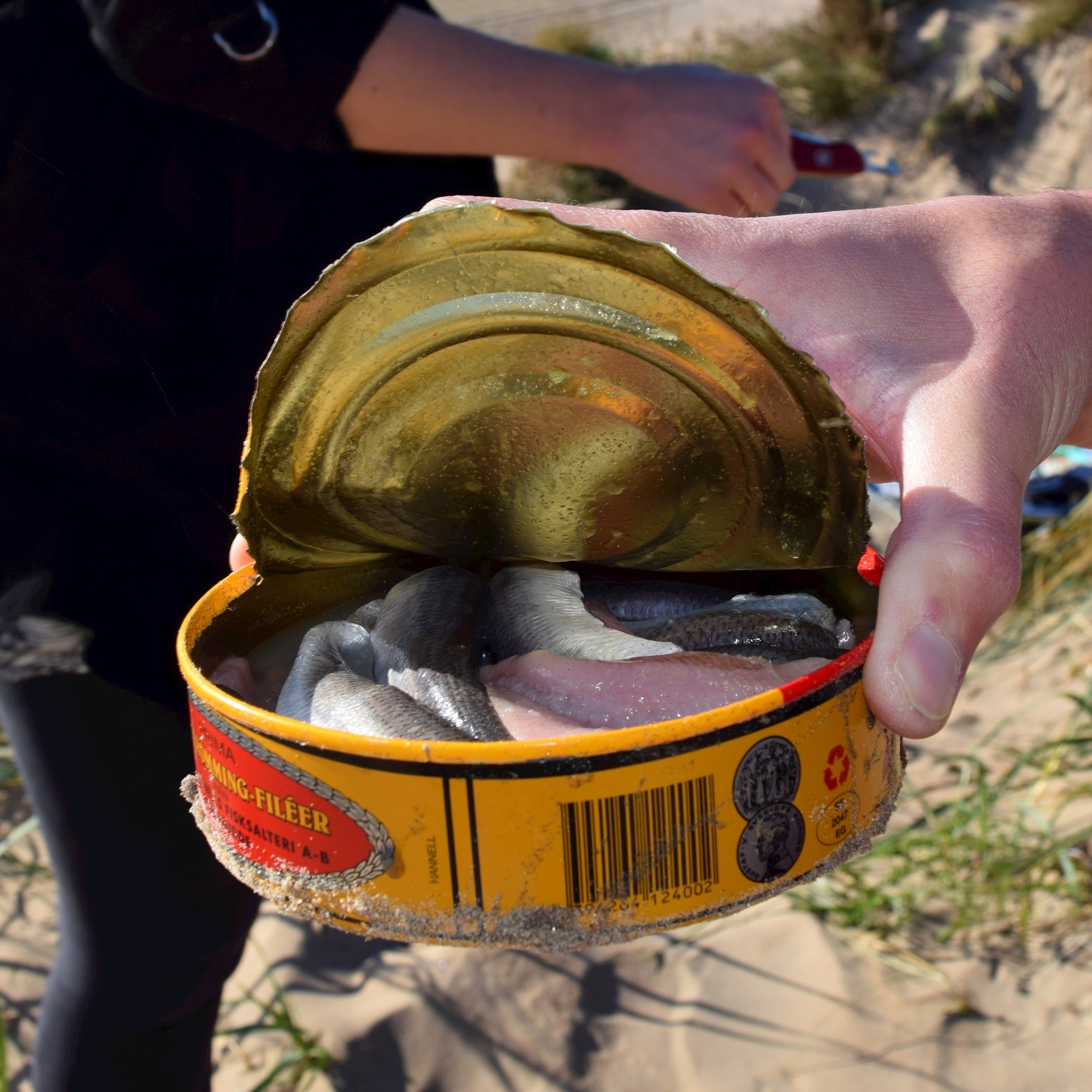 Ljudi probali surströmming, najsmrdljiviju ribu. Pogledajte njihove reakcije
