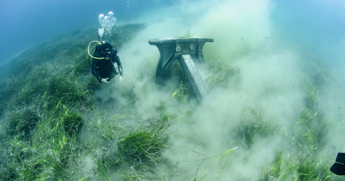 WWF: Sidrenje prijeti uništenju 50.000 hektara posidonije u Sredozemlju