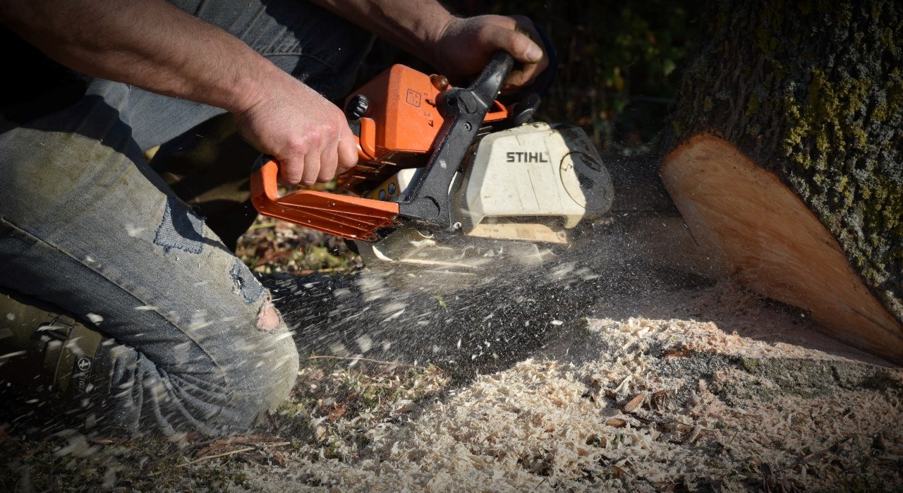 Otac četvero djece poginuo dok je rušio stablo kod Daruvara