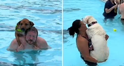 Napuštene pse iz azila odveli na kupanje na bazen. Video će vam popraviti dan
