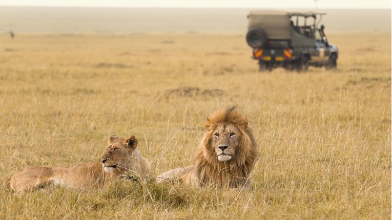 VIDEO Upoznajte prekrasnu i divlju Afriku te budite dio virtualnog safarija