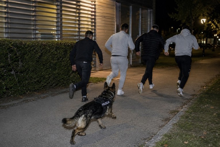 Uhićena četvorica Rumunja. Tijekom privođenja ozlijedili dvojicu policajaca