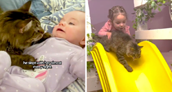 Djevojčica Lily i mačak Winston najbolji su prijatelji. Pogledajte njihove avanture
