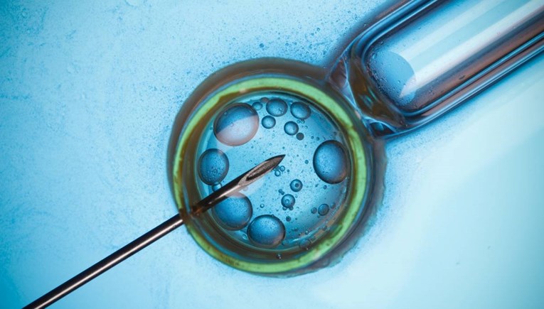 Alabama presudila da su IVF embriji osobe. Krenule posljedice za parove bez djece