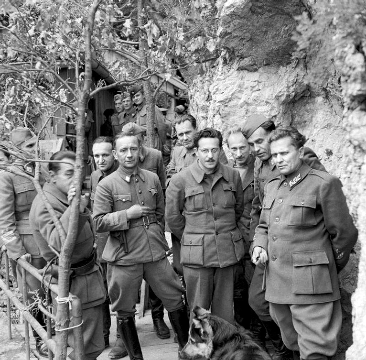 Nijemci, ustaše i četnici su svom silinom napali partizane. Cilj je bio ubiti Tita